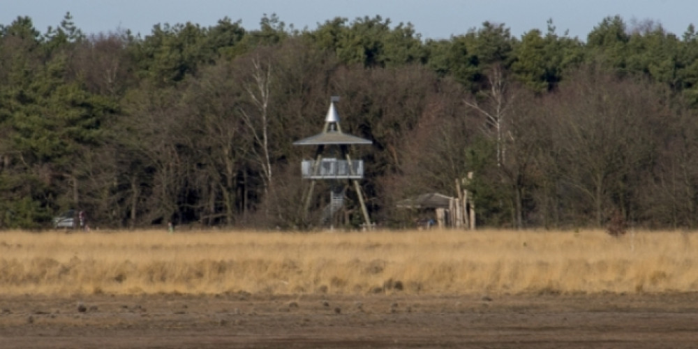 Uitkijktoren op de Landschotse Heide