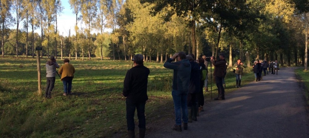 Herten en hindes langs de edelhertenboulevard - Brabants Landschap