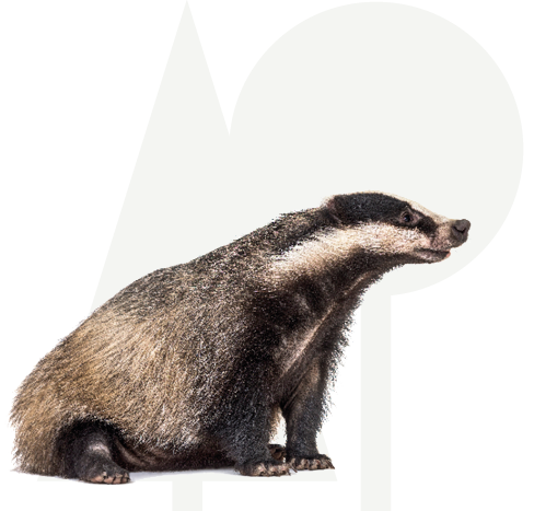 Das