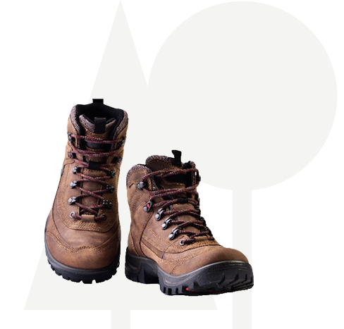 Wandelschoenen