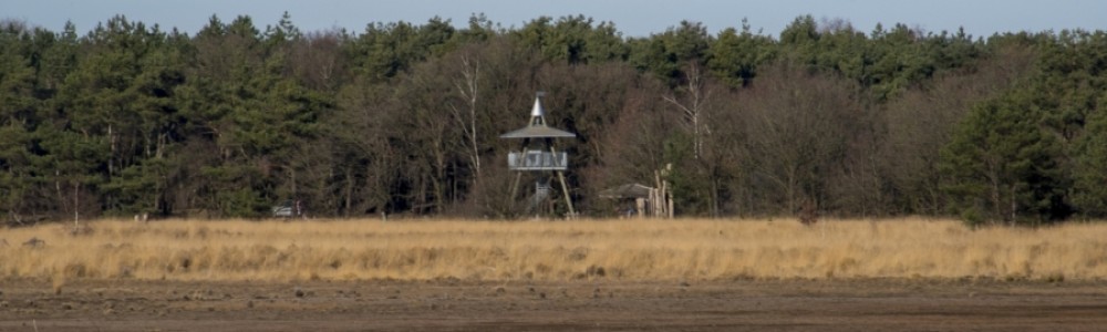 Uitkijktoren op de Landschotse Heide