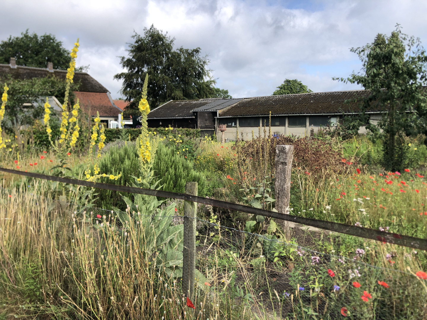 Antoniushoeve tuin