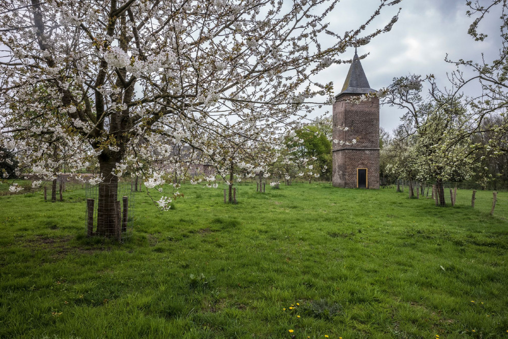Duiventoren bij het Groot Duijfhuis - James van Leuven