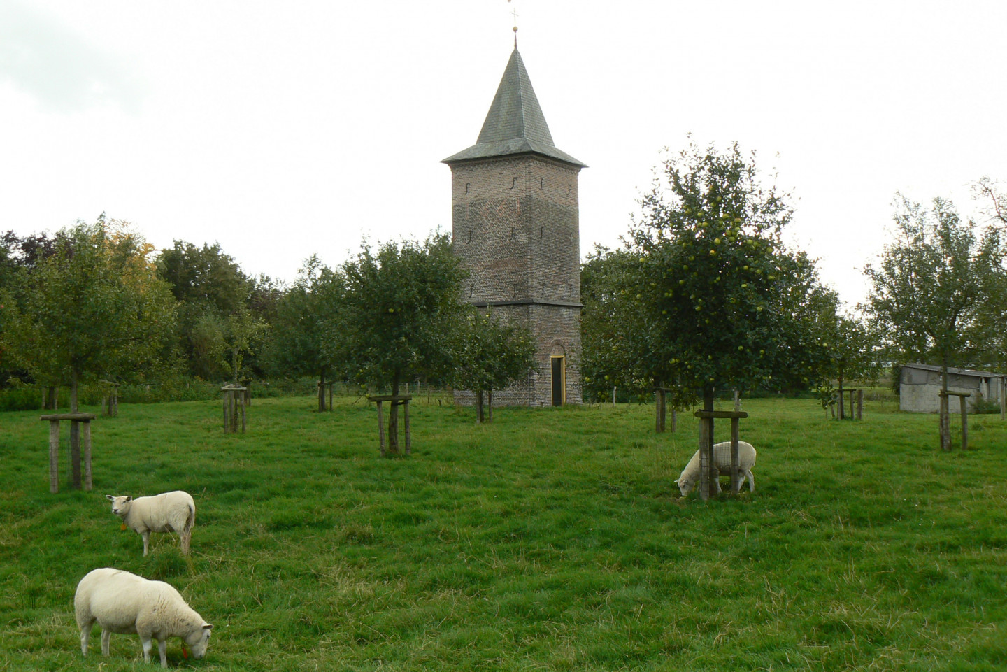 Duiventoren bij het Groot Duijfhuis