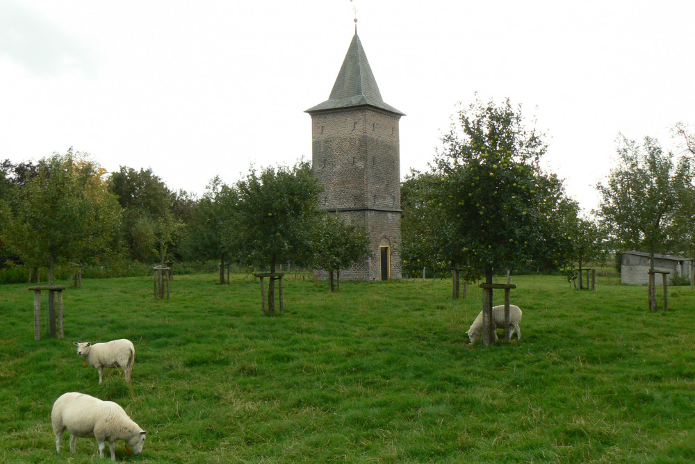 Duiventoren bij het Groot Duijfhuis