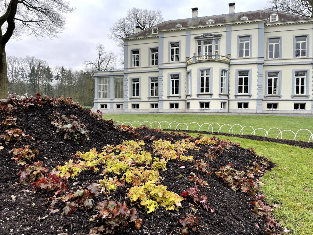 Furst pucklermozaiek met vaste planten