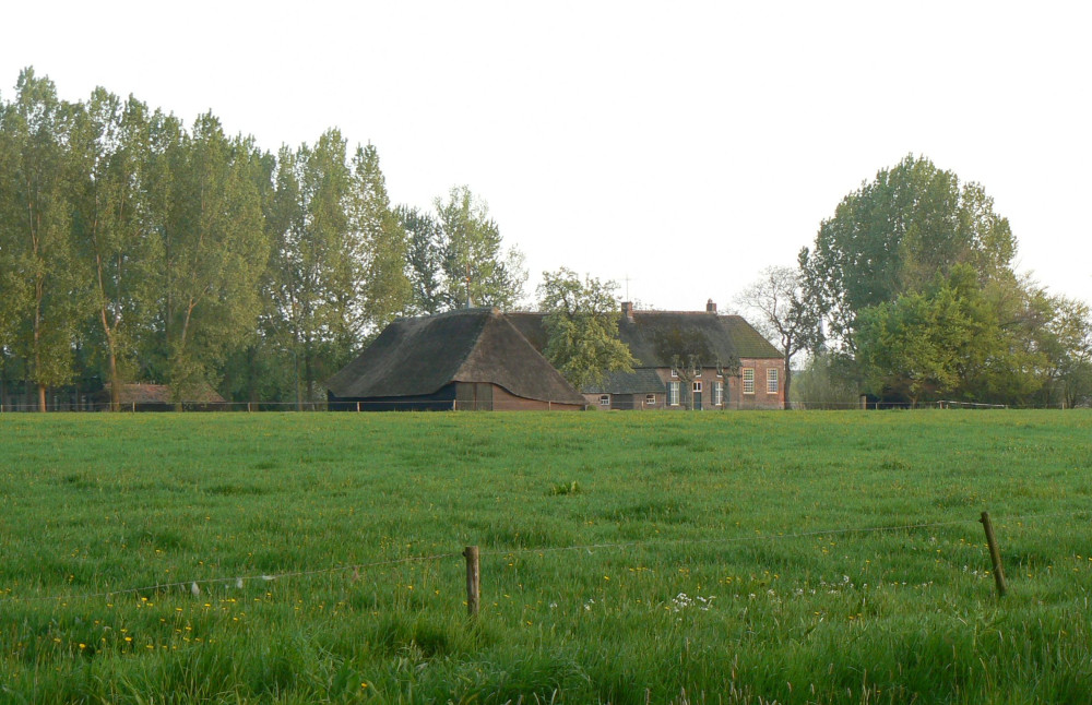 Groot Duijfhuis tussen de populieren Jeanne vd Boom