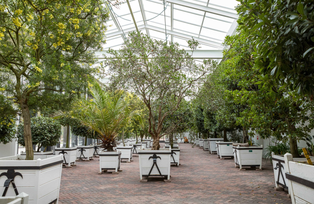 Kuipplanten wintertuin Mattemburgh
