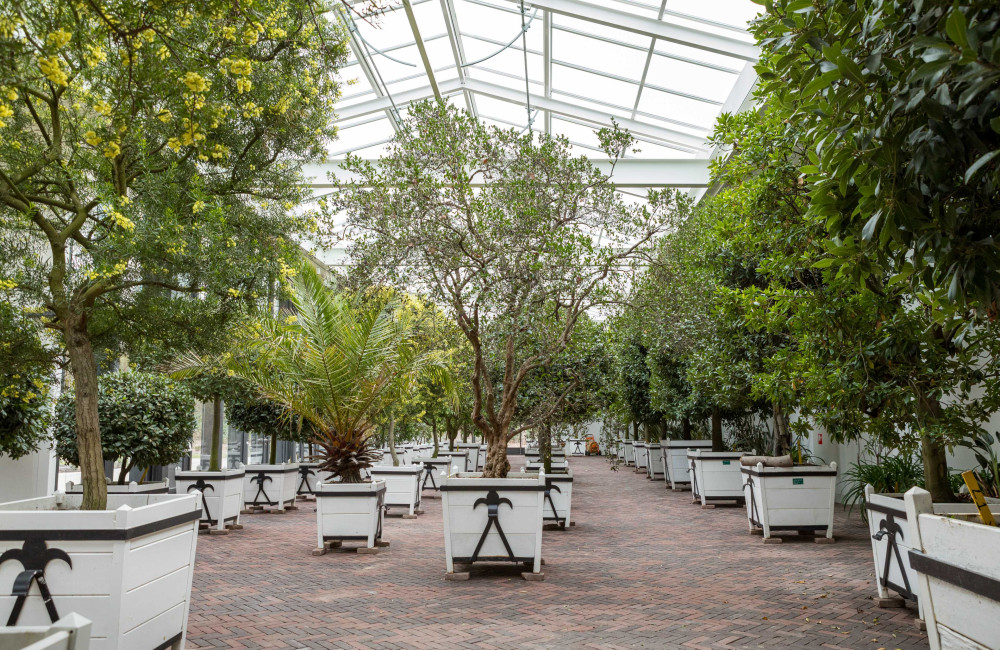 Kuipplanten wintertuin Mattemburgh