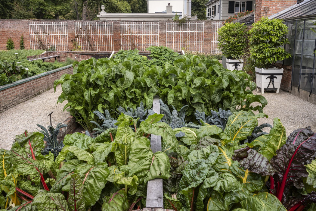 Moestuin Mattemburgh