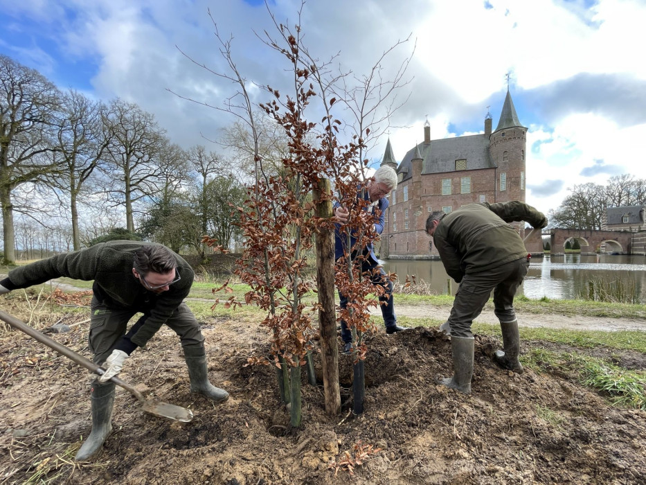 Bundelbeuk planten bij Kasteel Heeswijk 27 2 2025 (1)
