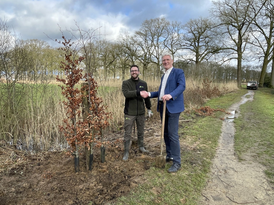 Bundelbeuk planten bij Kasteel Heeswijk 27 2 2025 (6)