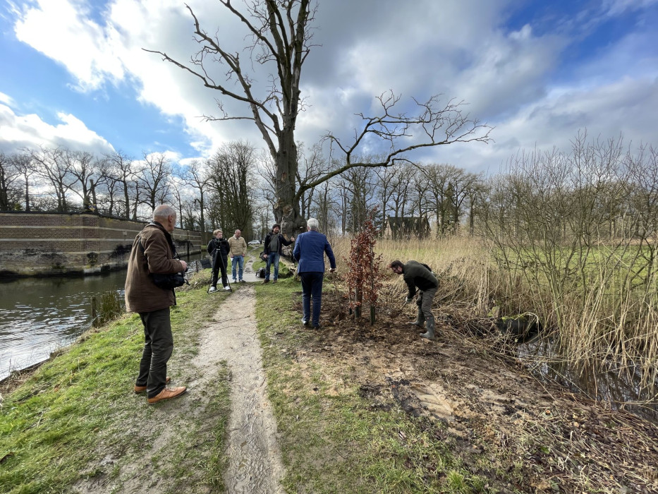 Bundelbeuk planten bij Kasteel Heeswijk 27 2 2025 (7)