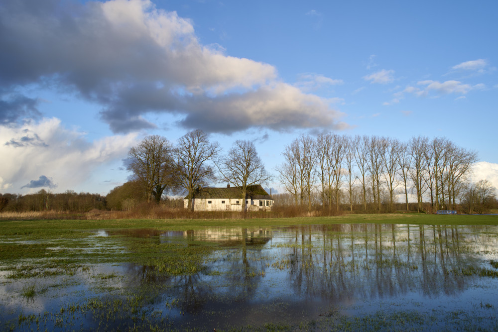 Oud Herlaar Joris Hogenboom