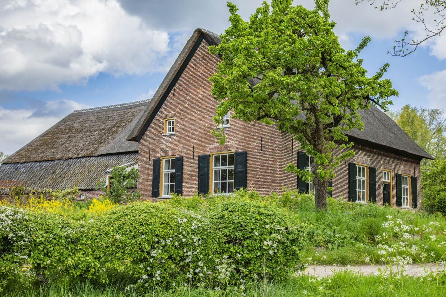 Boerderij - Roel Diepstraten