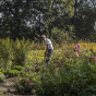 Tuin Haanwijk - James van Leuven