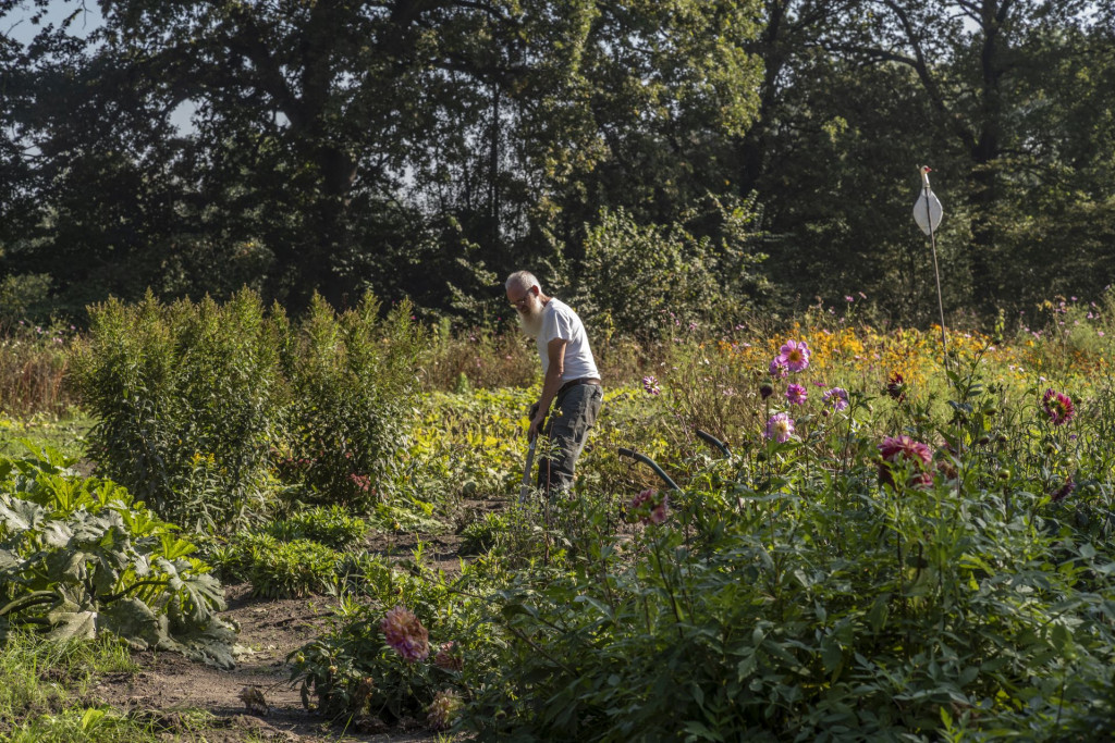 Tuin Haanwijk - James van Leuven