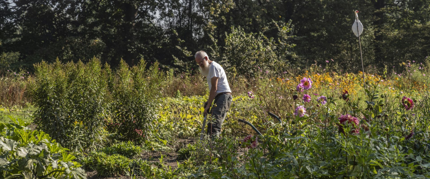 Tuin Haanwijk - James van Leuven