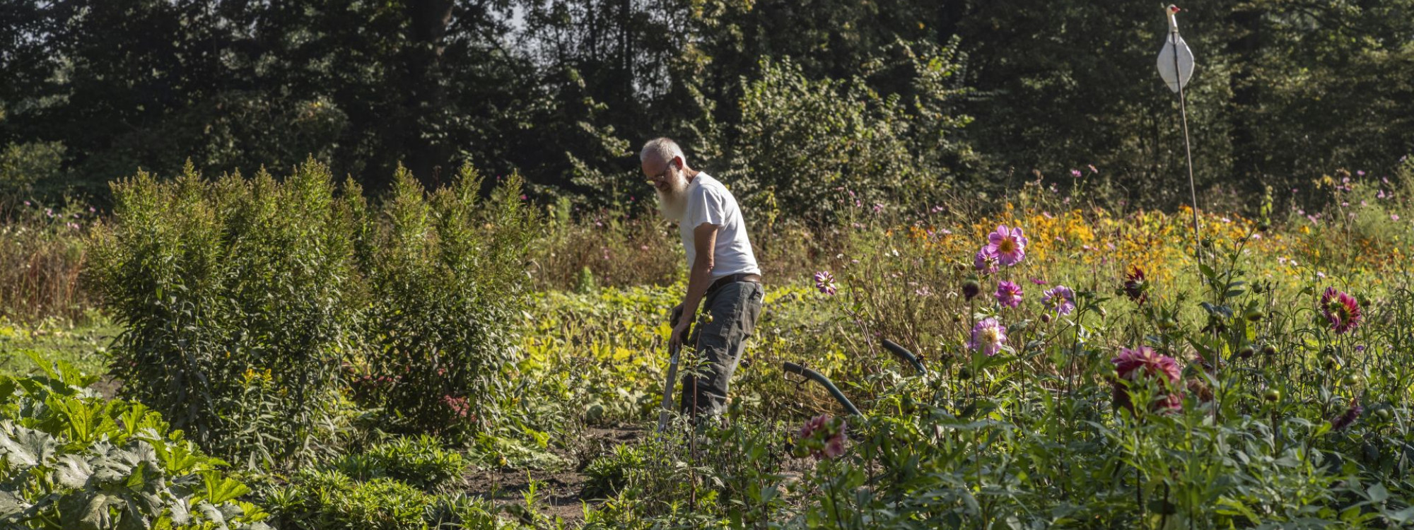 Tuin Haanwijk - James van Leuven