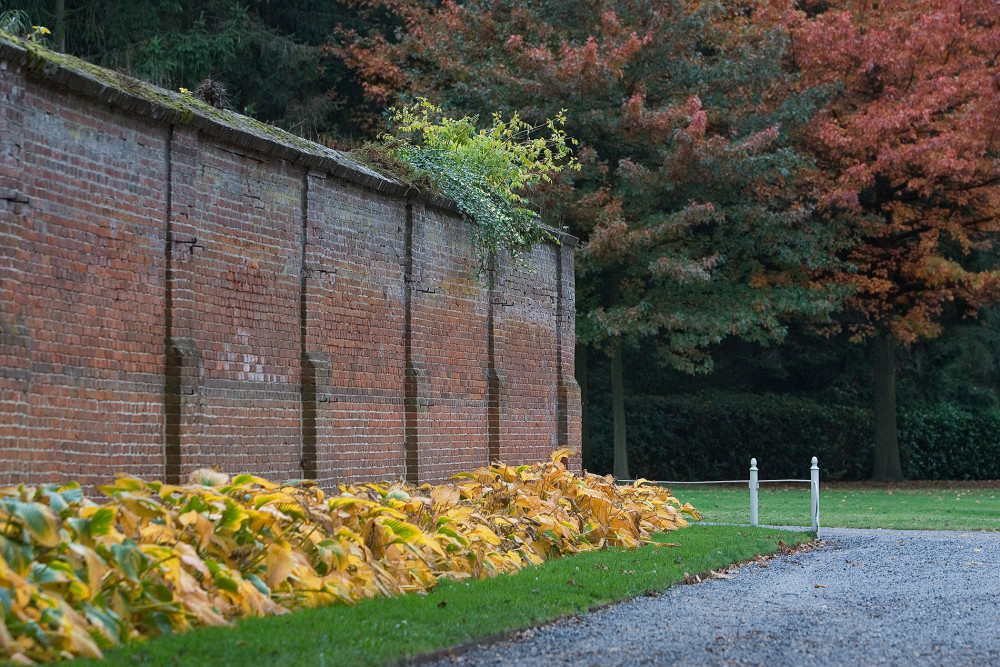 Tuinmuur Mattemburgh