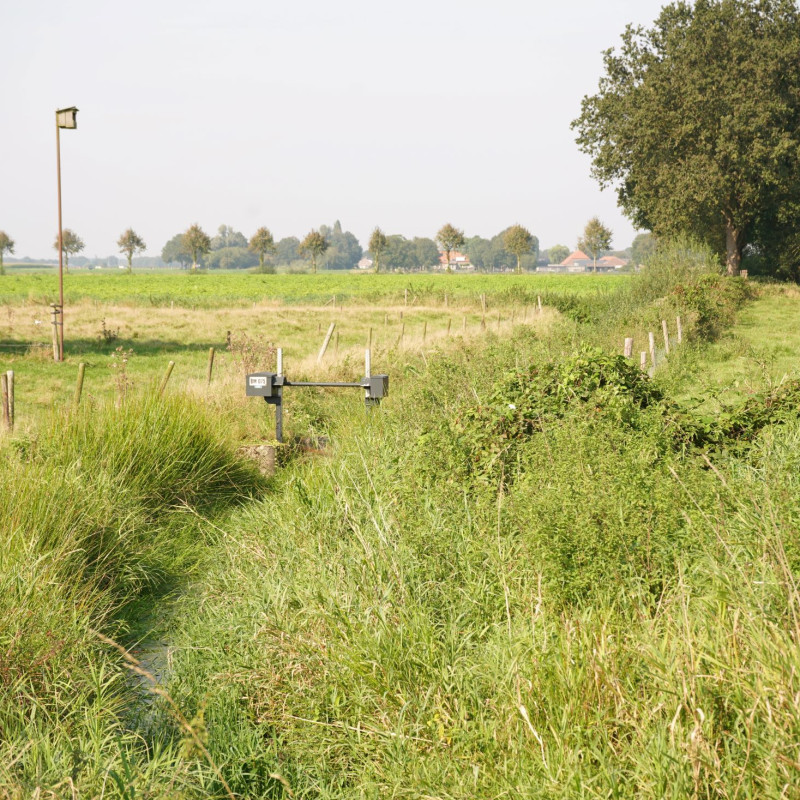 Gilzerwouwerbeek 180924 BrabantsLandschap (20)
