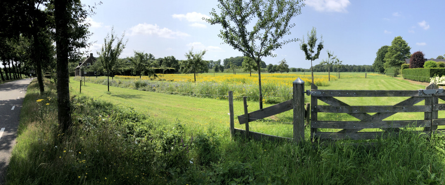Erf met variatie aan elementen