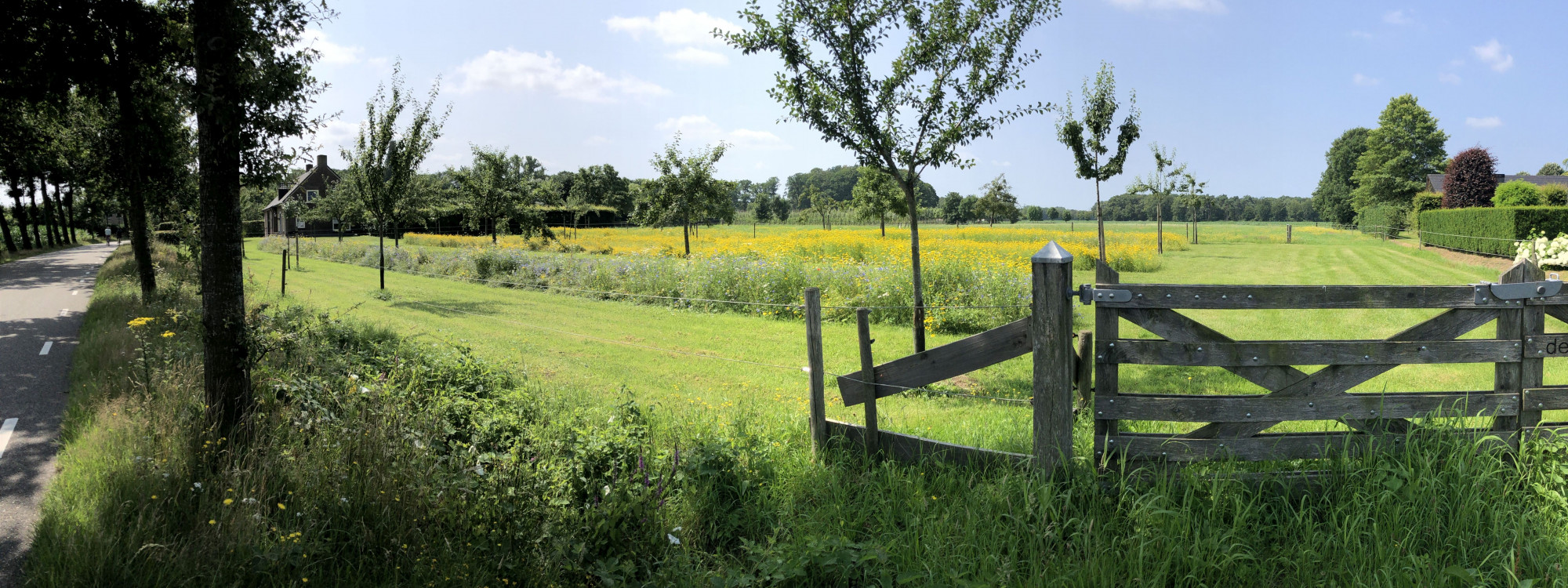 Erf met variatie aan elementen
