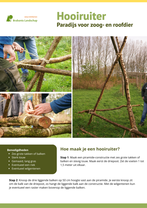 Muizenruiter uitleg   1