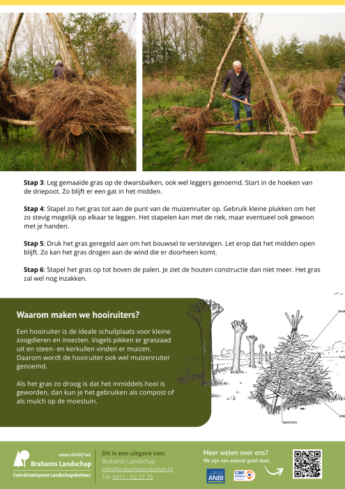 Muizenruiter uitleg 2