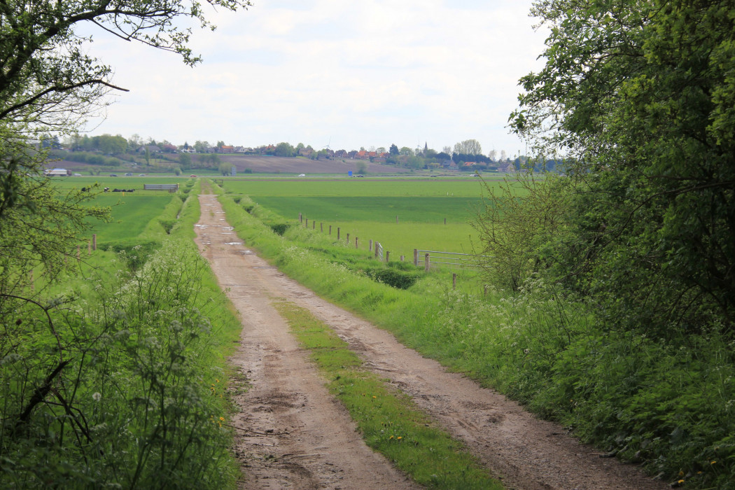 Zandpad in Lindonk - Erik de Jonge