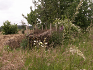 Houtmijt middenin de natuur