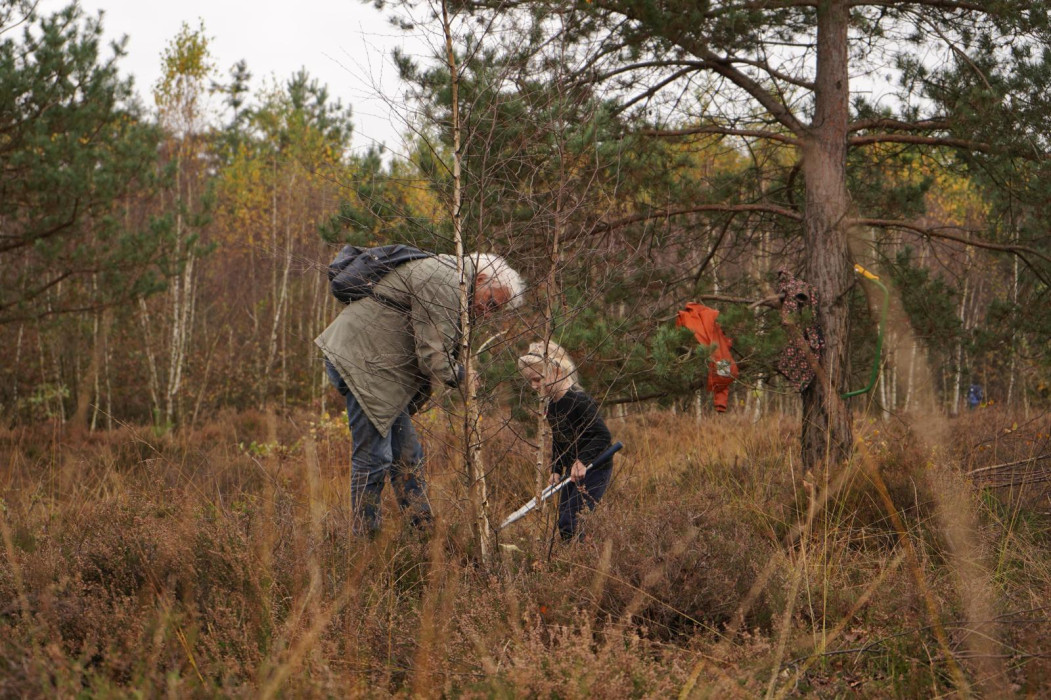 WhatsApp Image 2024 11 02 at 13.48.22