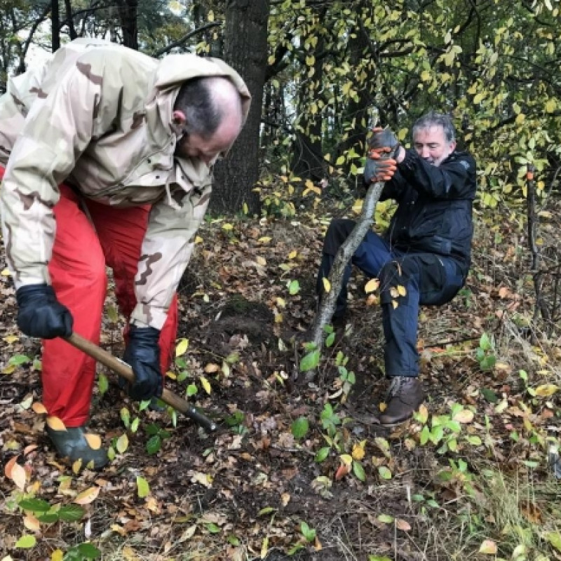 Schermopname 13 11 2025 162721 plaggroepknnvtilburg.wordpress.com