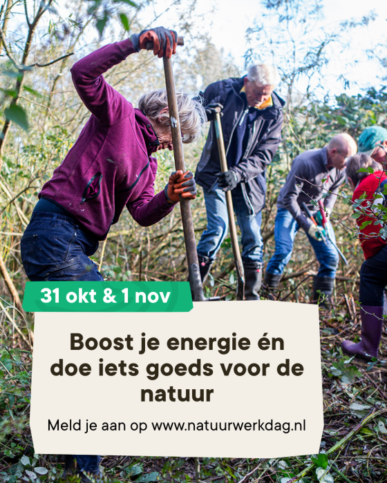 nadruk op gezondheid welzijn
