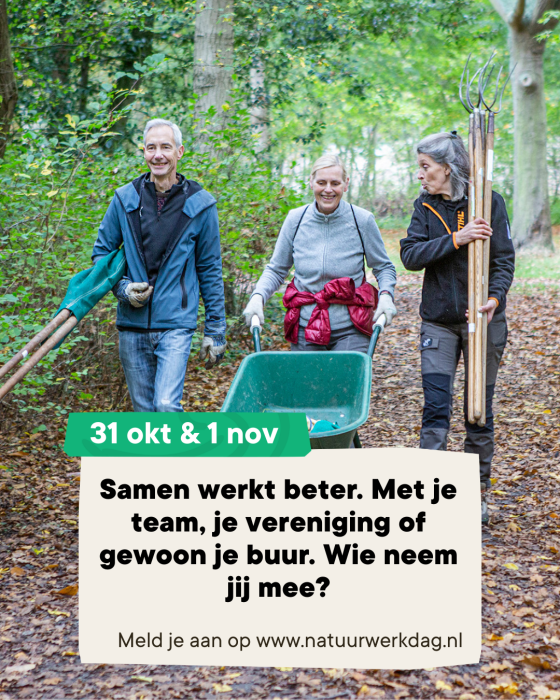 voor groepen