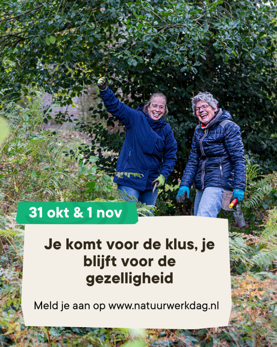 voor mensen die willen ontmoeten (2) (1)