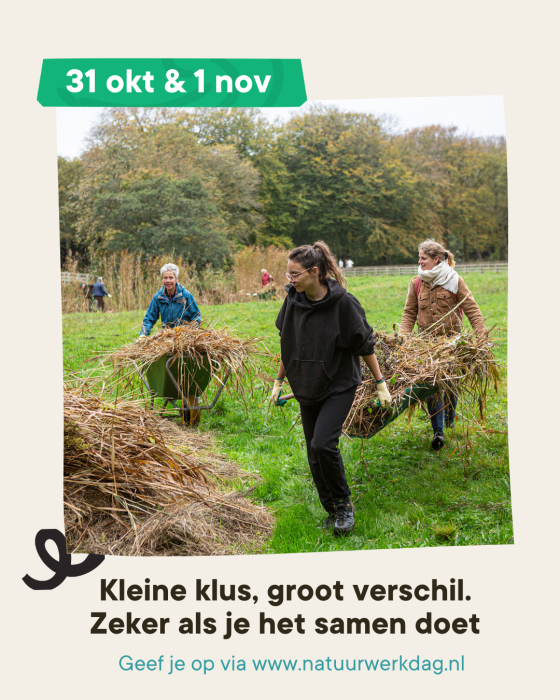 voor mensen die willen ontmoeten