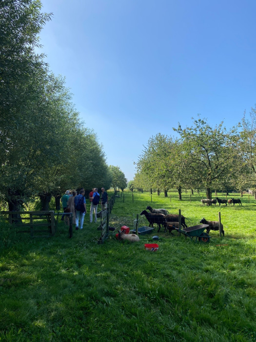 veldbezoek Groenloket Hagar Roijackers Den Dungen 150824