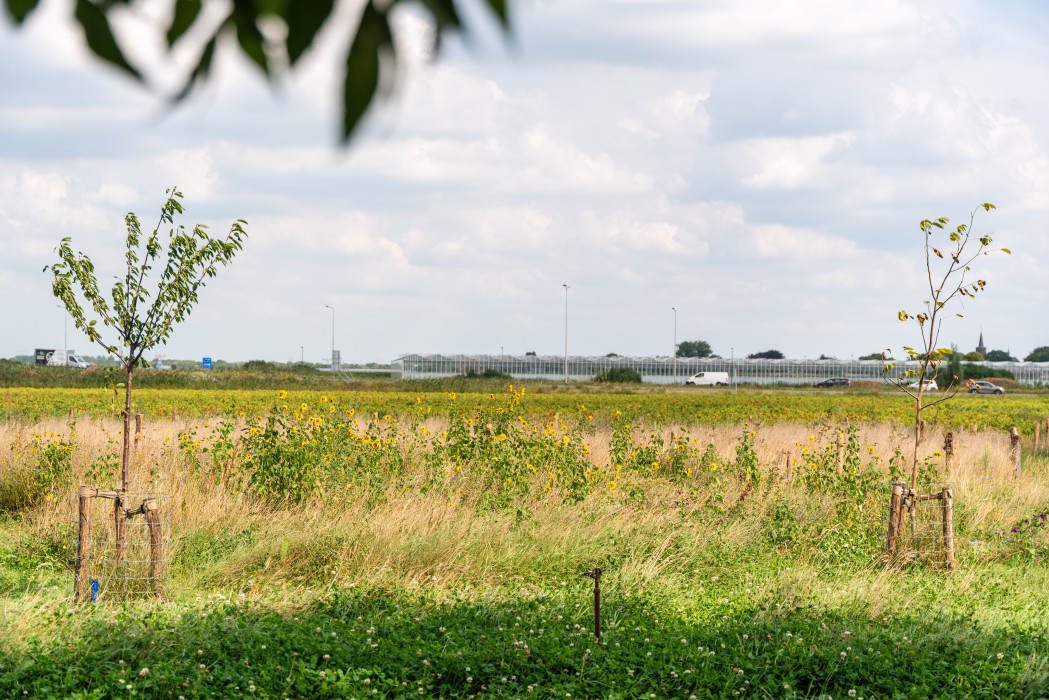Werkbezoek StiLa PB 08 2025 066
