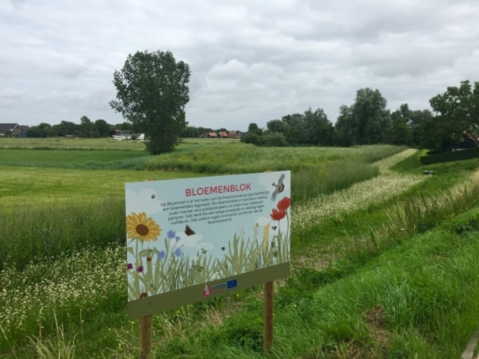 Bloemenblok bord