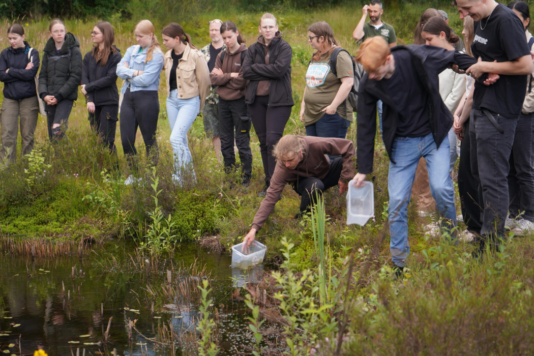Studenten Yuverta knoflookpadden 010724