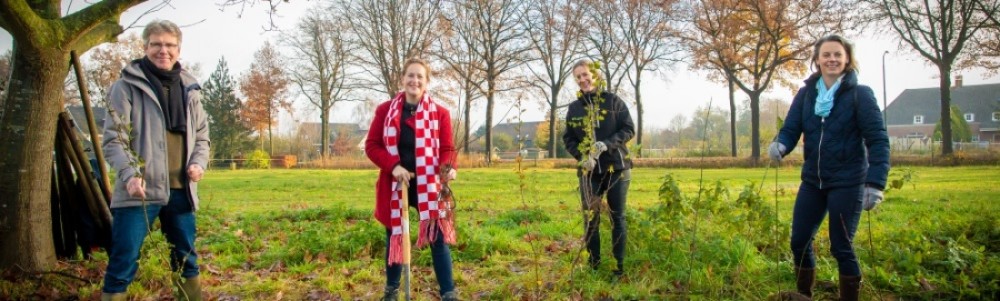 Plantactie Plan Boom