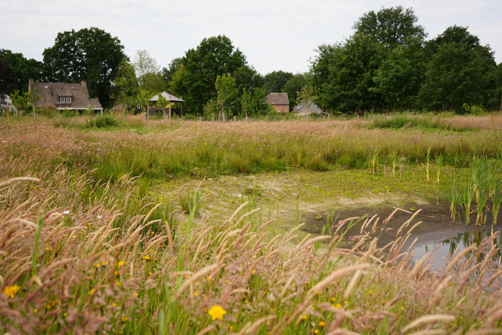 Poelrand Oirschot Spoordonk HDE