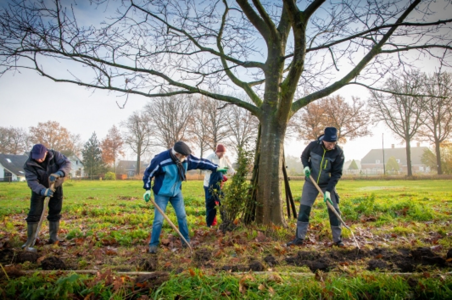 Vrijwilligers van Natuurgroep Gestel boom planten