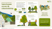Schermopname 1 5 2025 85441 samenvoorbiodiversiteit.nl