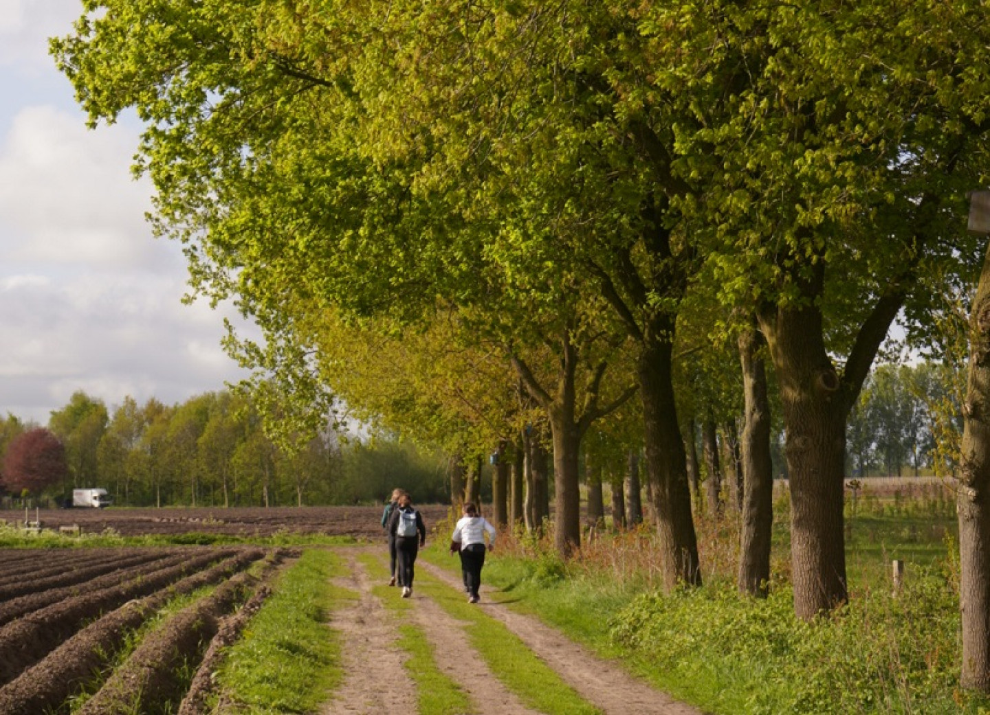 Veldseweg met wandelaars