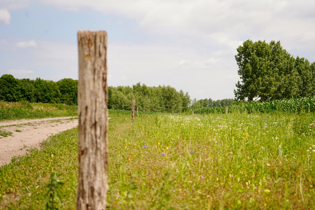 Zandpad Hultert Gemonde 250619 HDE (2)