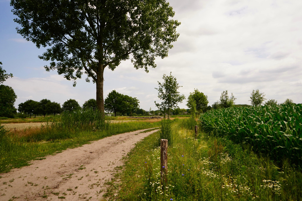 Zandpad Hultert Gemonde 250619 HDE3
