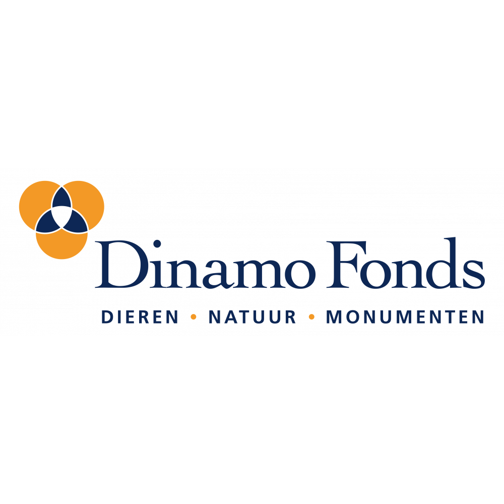 DINAMO logo RGB