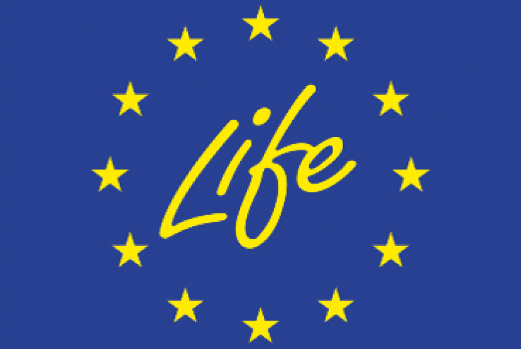 Logo LIFE